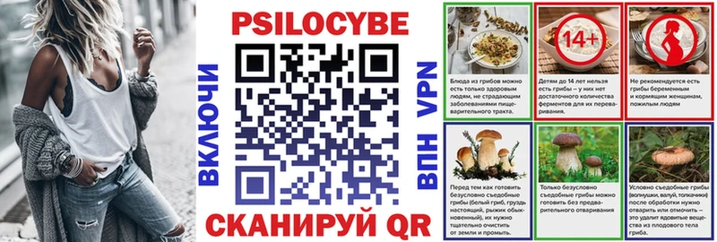Купить закладки  Владивосток  Галлюциногенные грибы Psilocybe 